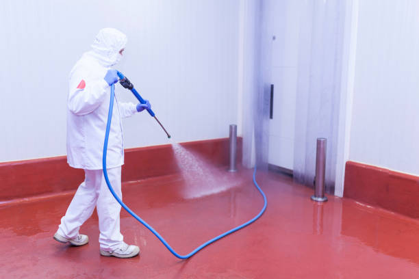 Best Pre-Holiday Cleaning  in Central Islip, NY
